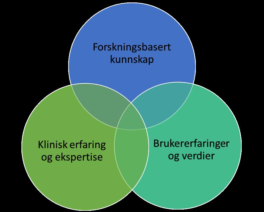 Mål og delmål Målet med prosjektet har vært å bistå Helsedirektoratet i utforming av strategi for implementering og prioritering av tiltak for eldre innvandrere som en del av Demensplan 2015 Den gode