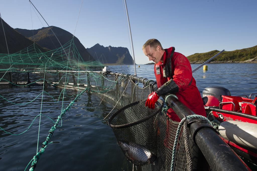 På grunn av det store antall kystkommuner og fylkeskommuner som Sjømat Norge må forholde seg til, er det viktig at organisasjonen jobber målrettet og bruker tilgjengelige ressurser på en best mulig