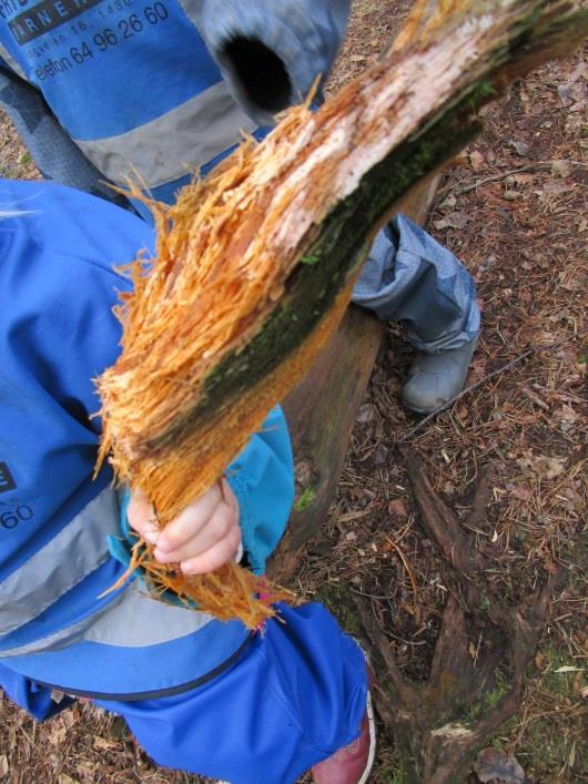 Vi snakket om hva trollet spiste og tok med oss ingredienser fra skogen over til småbarnsområdet.