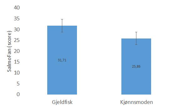 Figur 4 SalmoFan score vurdert på filet, etter 7 dager lagring på is.