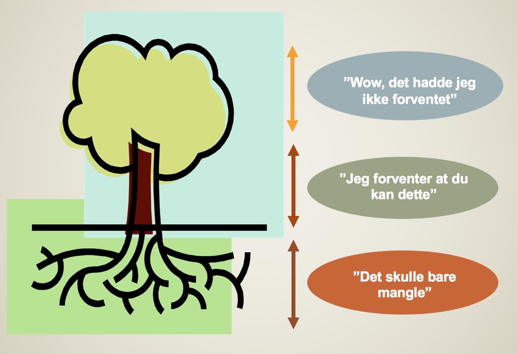 Det komplette treet har en fyldig bladprakt med friske farger. I det komplette kundeforholdet opplever kunden at bedriftens ansatte virkelig bryr seg og er villig til å strekke seg ekstra langt.