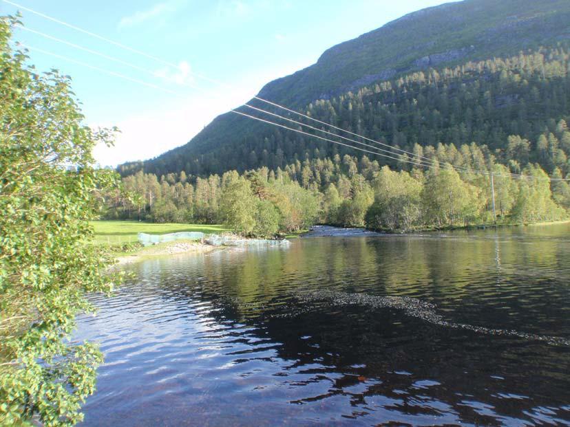 vinteren. Middelvassføringa frå restfeltet mellom inntaket og kraftstasjonen er berekna til 87 liter/sek.