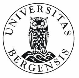 utviklingsavdelingen, Haukeland universitetssykehus Dag