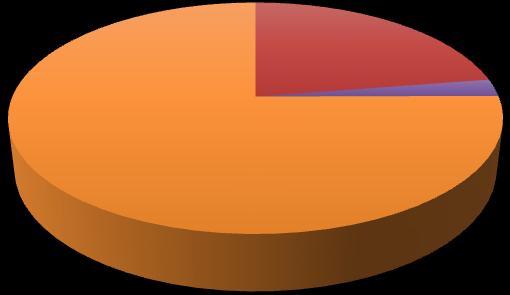 82 konsernnivå består totalkapitalen av en egenkapitalandel på 75%, mens i Peak BS utgjør kortsiktig gjeld den største delen av totalkapitalen på 85%.