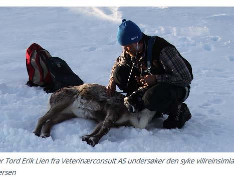 Hva vet vi om skrantesjuke i Norge?