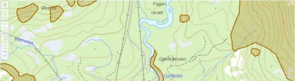 Figur 11: Utsnitt fra "Skrednett". Brun markering viser NGIs vurdering av utløpsområder for stein- og snøskred. Gul markering er ikke kartlagt av NGI. Stasjonsområdet er markert med rød stjerne. 4.12.