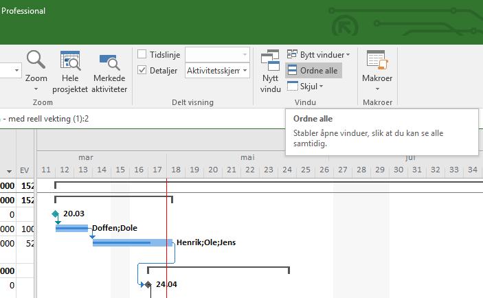 4.5.25 Fanene i båndet, «Visning» Trykker man på «Ordne