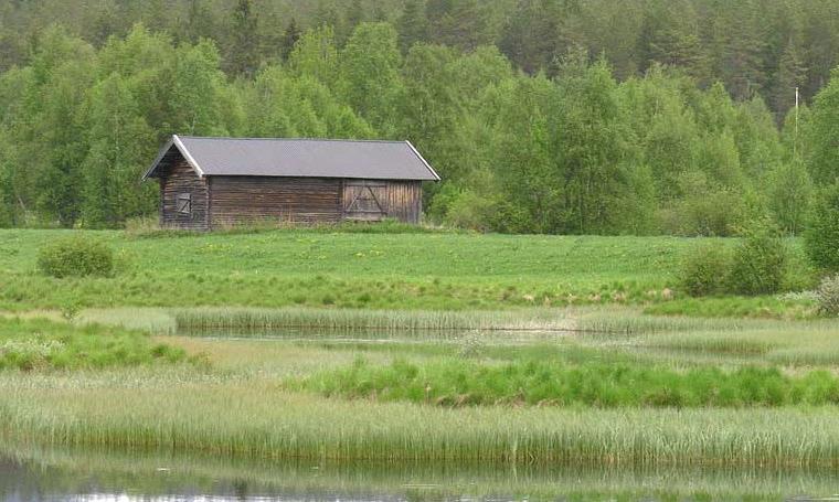 vore skilnad på folk. Du ser burøysingsbruk og små plassebruk, og du ser høyløene plassert nær elver og vassfar som alle vitnar om aktiv utnytting av dei næringsrike elveengene i området.