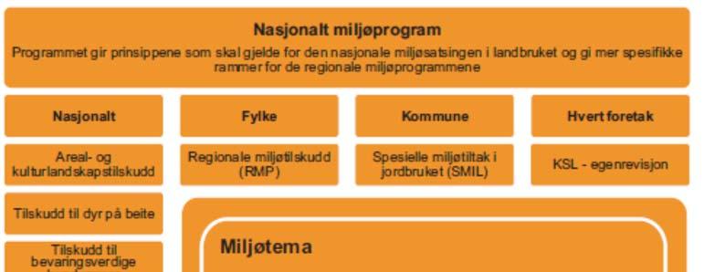 Figur 1. Miljøtema og virkemidler i nasjonalt miljøprogram. 3.