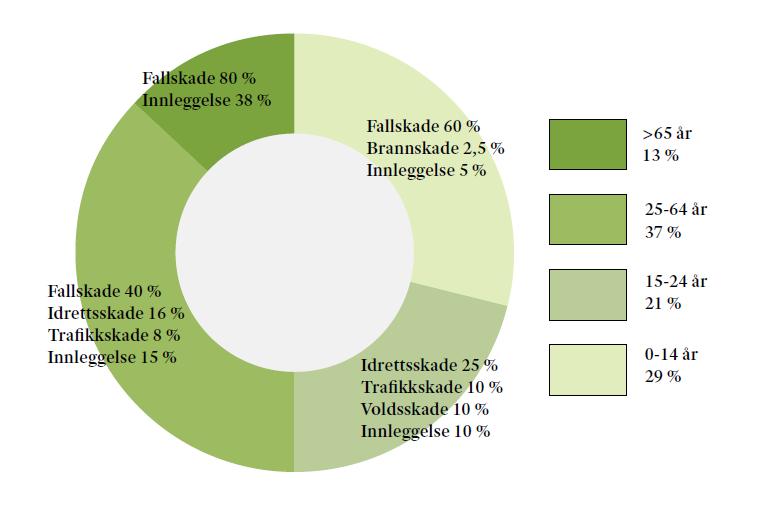 Skjervøy hjemmesykepleie 18 Ikke gjort analyse I hovedsak andre hjelpetiltak Del 4: Fordeling av skadde i Troms fylke beregnet etter skaderaten i definerte aldersgrupper i Harstad/Narvik.