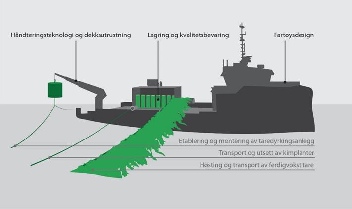 HAVBRUK i NFR - Utvikling