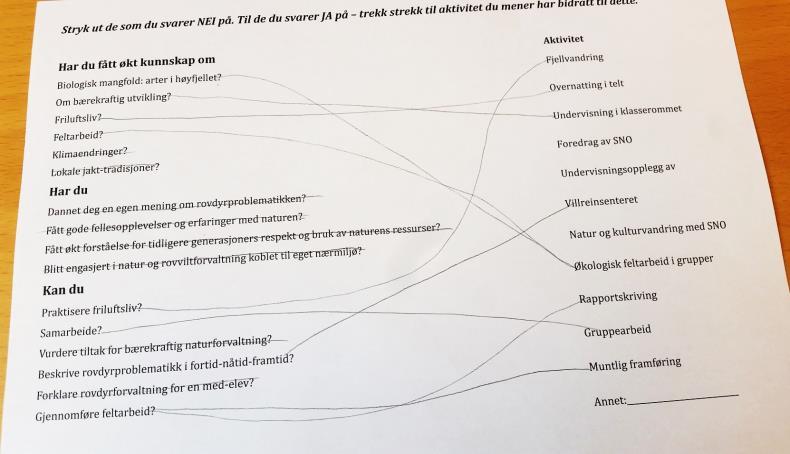 Kryss-skjema Vurderingsverktøy