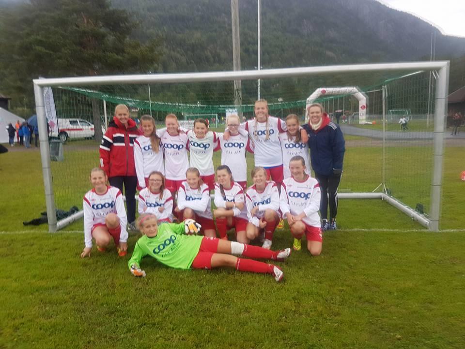 Fotballgruppa har fått presentert konseptet kvalitetsklubb. Inntil vidare vil dette bli lagt på is. Kviteseid er med i Prosjekt Vest Telemark.