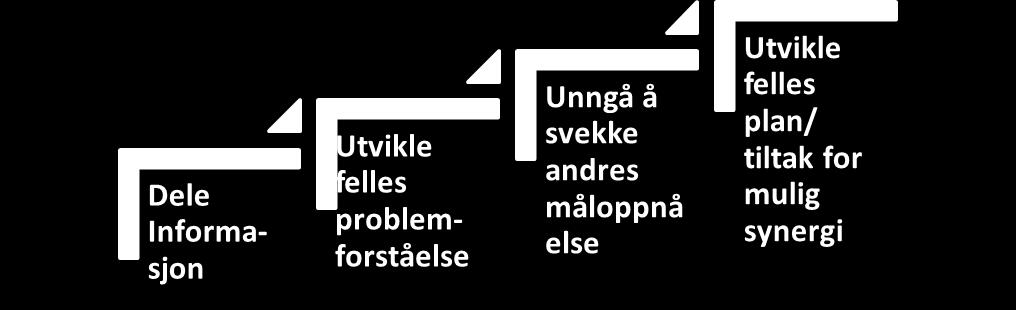 Prosjektene har dels vært egeninitierte, men i samråd med KMD, og dels gitt som oppdrag av KMD. Det har også vært gjennomført et prosjekt i samarbeid med Direktoratet for økonomiforvaltning, DFØ.