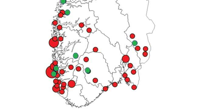 Hubroene kan også eksponeres direkte ved å spise utlagte rottegifter i sin opprinnelige form, men dette antas å være lite aktuelt for disse fuglene med tanke på deres naturlige næringsvalg.