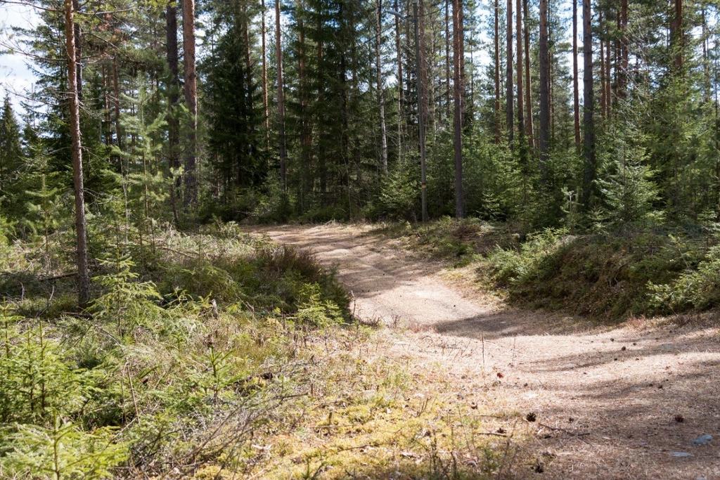 Området er tilrettelagt med diverse turstier samt lysløype.