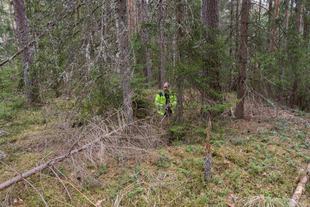 Fangstgrop R6 med Ø. R. Andersen, sett mot N. Foto: U. T. Grøtberg 27.04.2016.