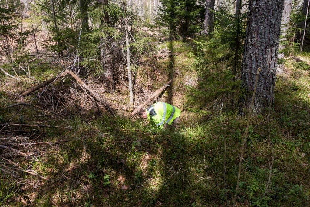 Denne gropa syntes ikke godt på LIDAR (kunne se vollene), men lå rett ved siden av et LIDAR-punkt