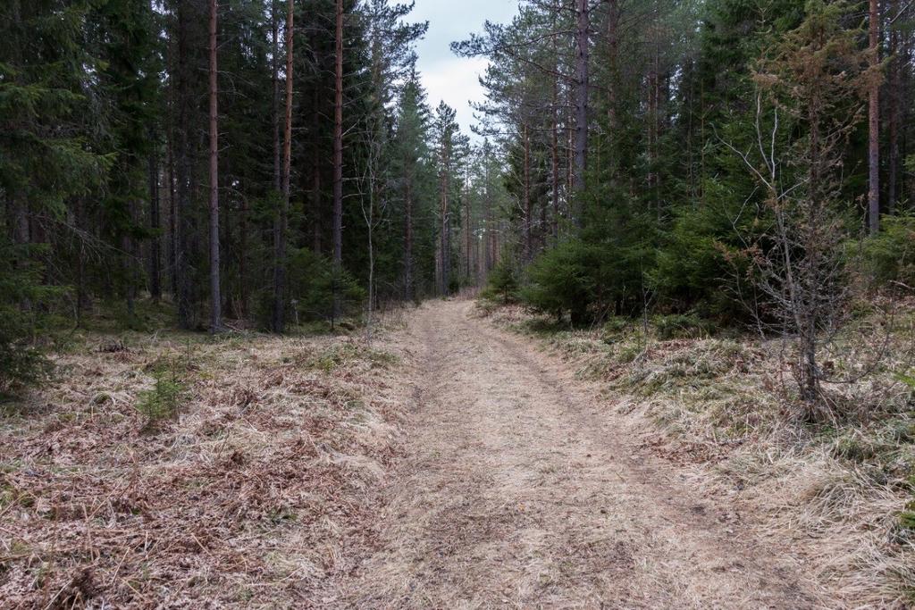 Veifaret har retning Berger gård og må sees i sammenheng med tidligere registrerte parseller i Buskerud fylke, jf. id 22997 og 150452.