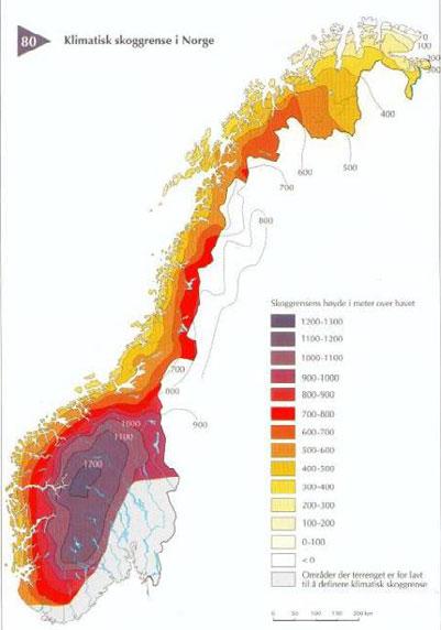 Skoggrensa i Norge Kilde: B.