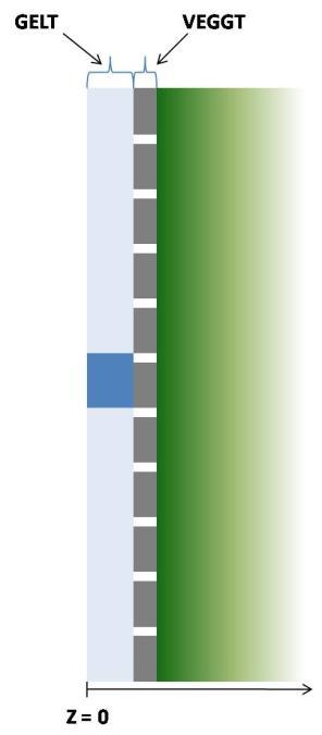 Her er det for enkelhets skyld vist et eksempel med 10x10 bjelker, i simuleringene er antallet det dobbelte. Den grå markeringen i sentrum viser plasseringen av radionuklidene i geometrien.