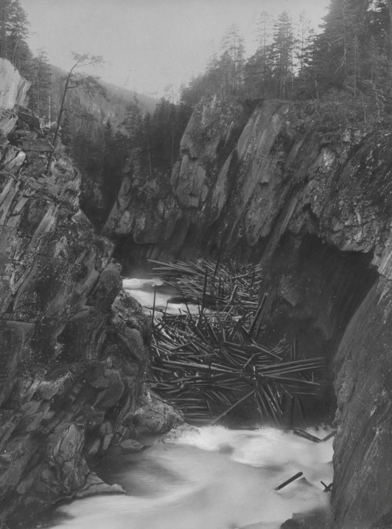 Foto: Norsk Skogmusem Lastebilene kommer Faksimile fra