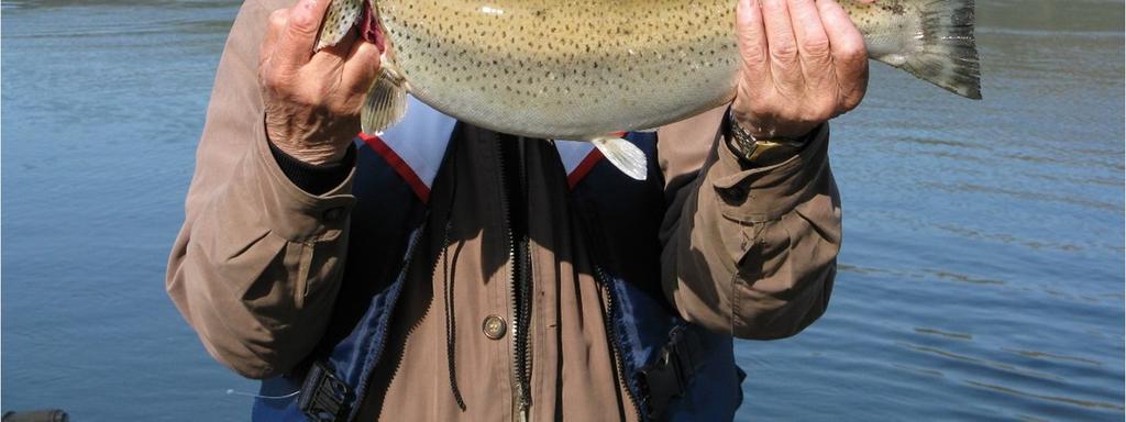 kilo og sjørøyene 1.2 kilo. Den største laksen veide 12. kilo, sjøørreten 4.9 kilo og sjørøyen 1.4 kilo. De fleste sjøørretene ble tatt med garn med 4 mm maskevidde.