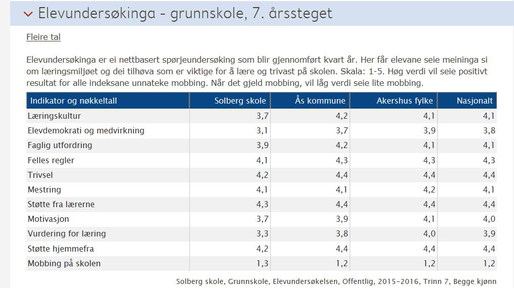 Skolen har kommunenes Pedagogisk Innsats Team ( PIT) inne til veiledning i klasseledelse og relasjonsarbeid.