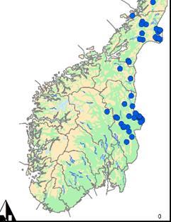 I 2014 ble det påvist minimum 136 brunbjørner i Norge ved hjelp av DNA-analyser. 54 av dem var hunner, mens 82 var hanner.