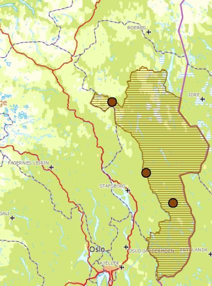 Side 14 av 21 Tab 4: Antall individer i region 3 påvist gjennom DNA (møkk og hår). Noen av individene kan være påvist i andre regioner samme registreringsår.