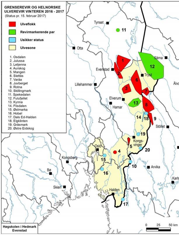 Side 15 av 21 Ulv Det er ikke påvist ynglinger av ulv i Oppland de siste år, men regionen har i de siste årene hatt besøk av streifindivider.
