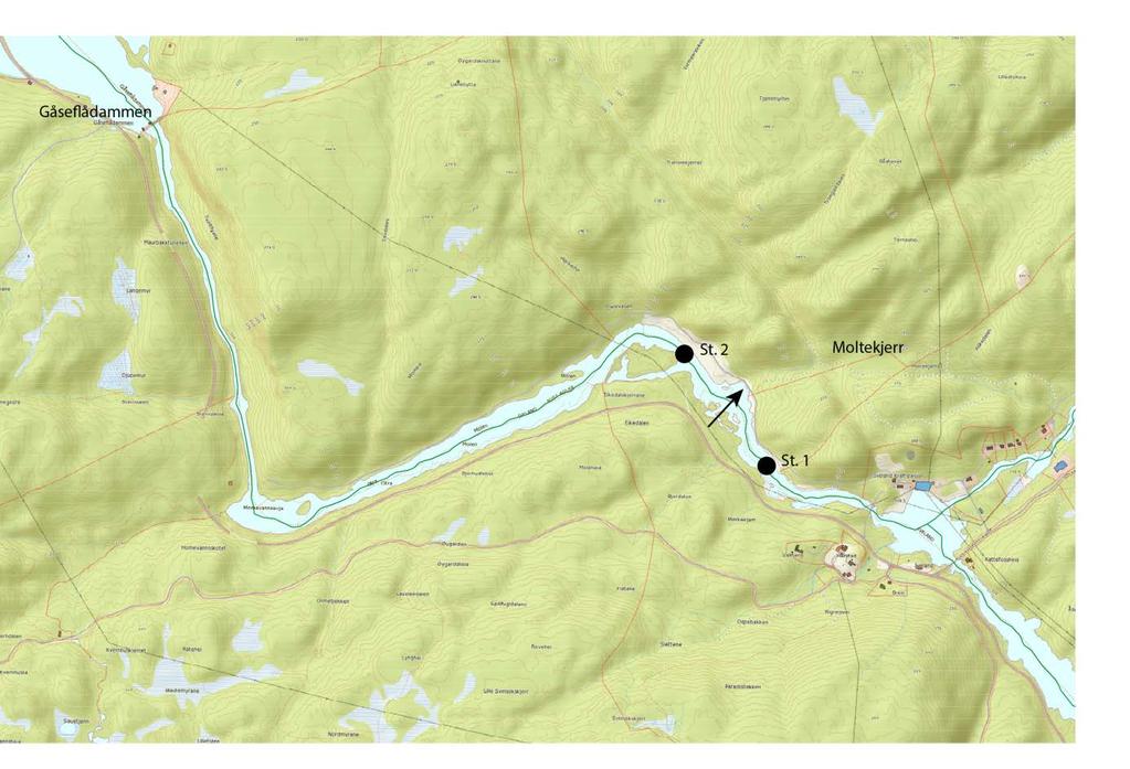 2.1 Beskrivelse av lokalitetene Det ble valgt ut 2 lokaliteter i restfeltet nedstrøms Gåseflådammen, en lokalitet (Stasjon 1) nedstrøms bekken fra tippen ved Moltekjerr (påvirket lokalitet), og en