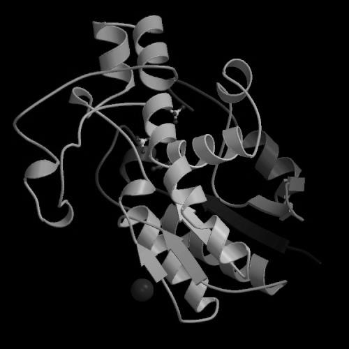 I denne reaksjonen dannes mellomproduktet 2,3 bisfosfoglycersyre, som kan diffundere ut av det aktive setet og