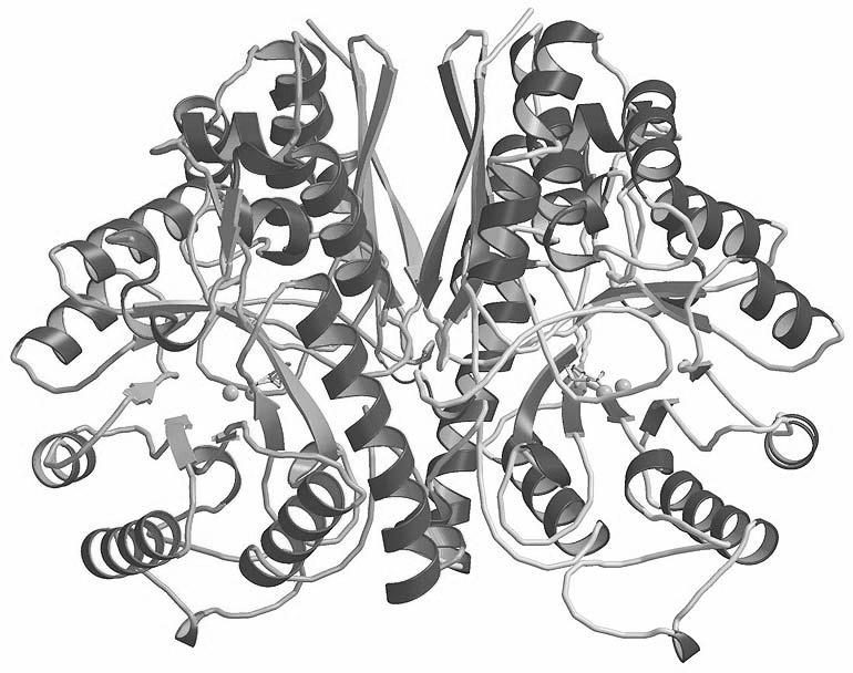 Trinn 8 2-Fosfoglysersyre ΔG o = 7.