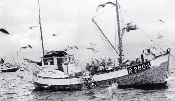 M/S Rosøy eiere Svend og Ånen Sørensen. På feltet 1954 Vårsildfisket.