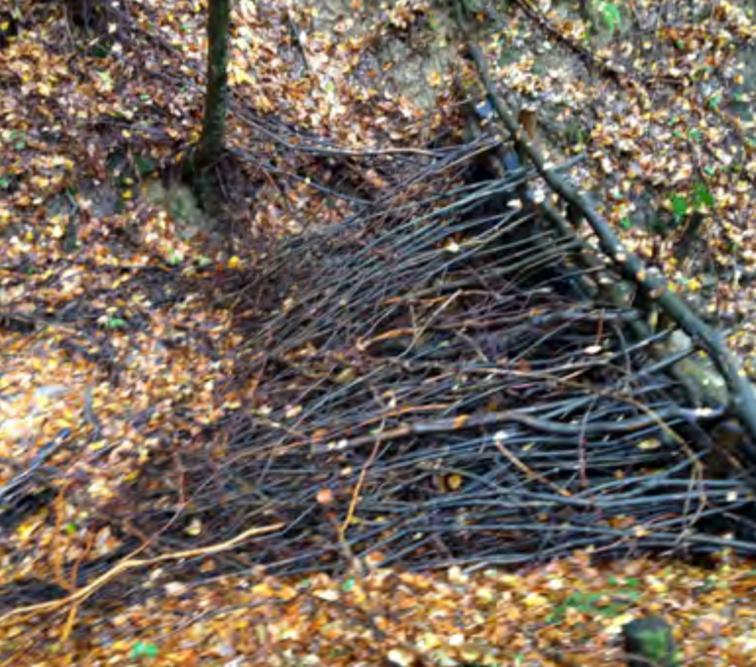 Konstruksjon av kvistdam Kvistdammen skal ha trappeform og vannet som damkrona skal renne nedover trappetrinnene.