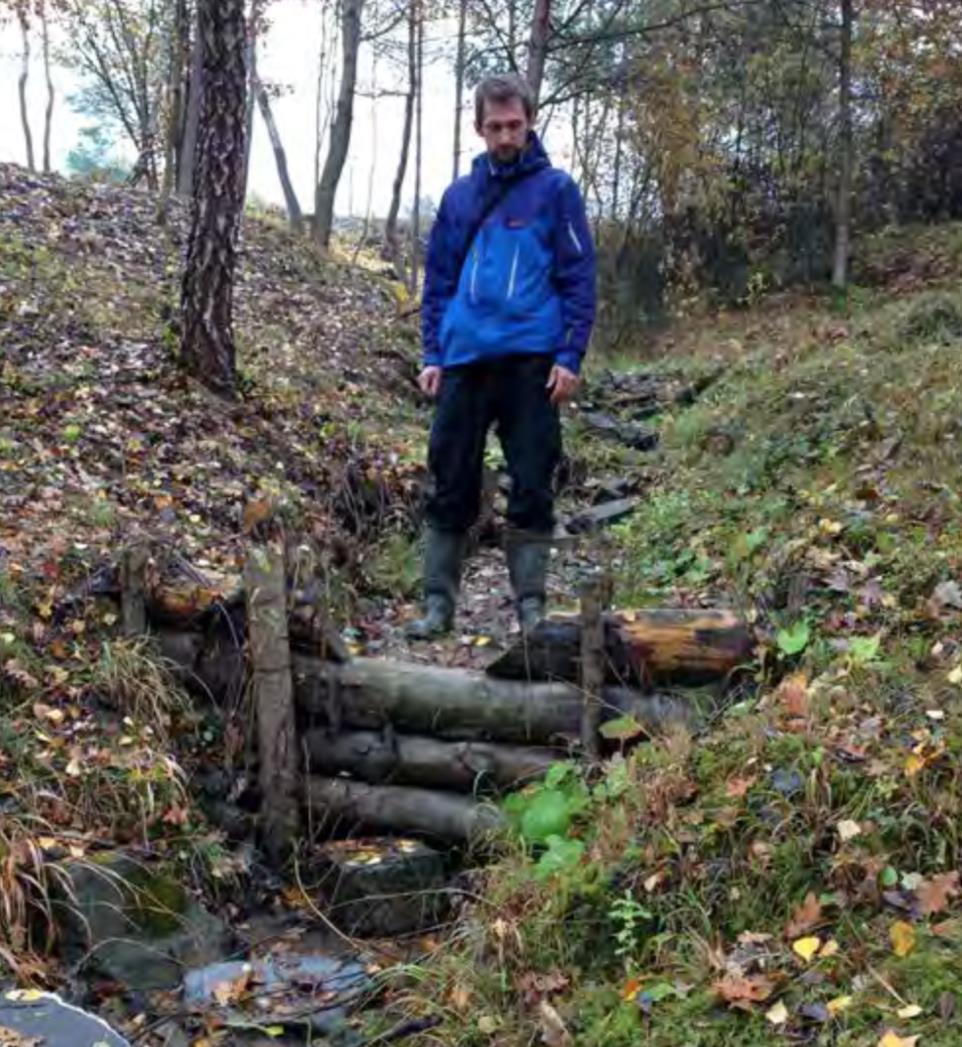 Reversering av ravineringsprosesser? Liten stokkdam som er fylt med sedimenter.