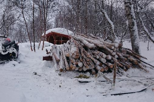 Rapport 01/03/2017 4 - Vedkjøring. Hogst på stedet og/eller innkjøp av ved. Transport til hytter eller rasteplass.