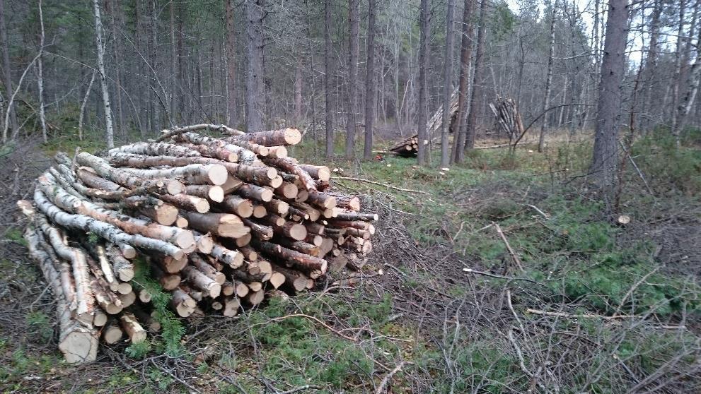 driftssystem sammen med SNO og Statskog. Det er stor grad av kombinasjonseffekt i dette systemet.