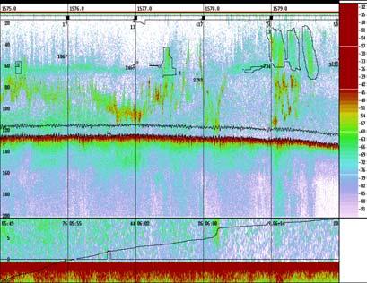 a) 38 khz a) 200 khz Sild Makrell Figur 6. Ekkogram fra 20. oktober 2002 05:49 UTC i posisjon 0 43 N, 2 0 6 E med flere makrellstimer (innringet) og sild (stort sett under makrellen).