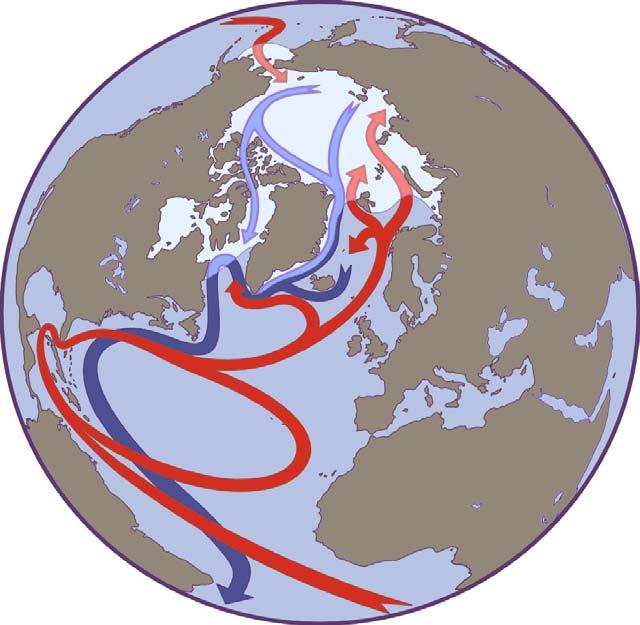 Masteroppgave: Holocen klimavariasjon på Kapp Linnè, Svalbard Svalbard ligger i ytterkant av Den nordatlantiske strøm / Golfstrømmen Hvordan har klimaet for de siste tusen år variert her i forhold