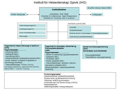 KAVLI En for undervisning medisin og masterprogram, og en for forskning (inkl phd opptaksråd) Strukturen under institutt består av autonome forskningsgrupper. Disse kan defineres som fagenheter.