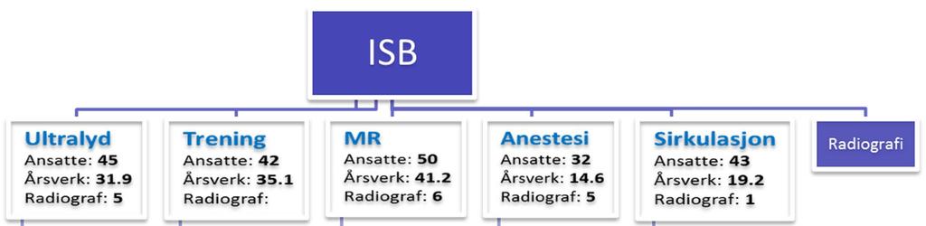 Institutt for sirkulasjon og bildediagnostikk har ikke landet valg av modell ennå, og diskuterer 2-3 alternativ.