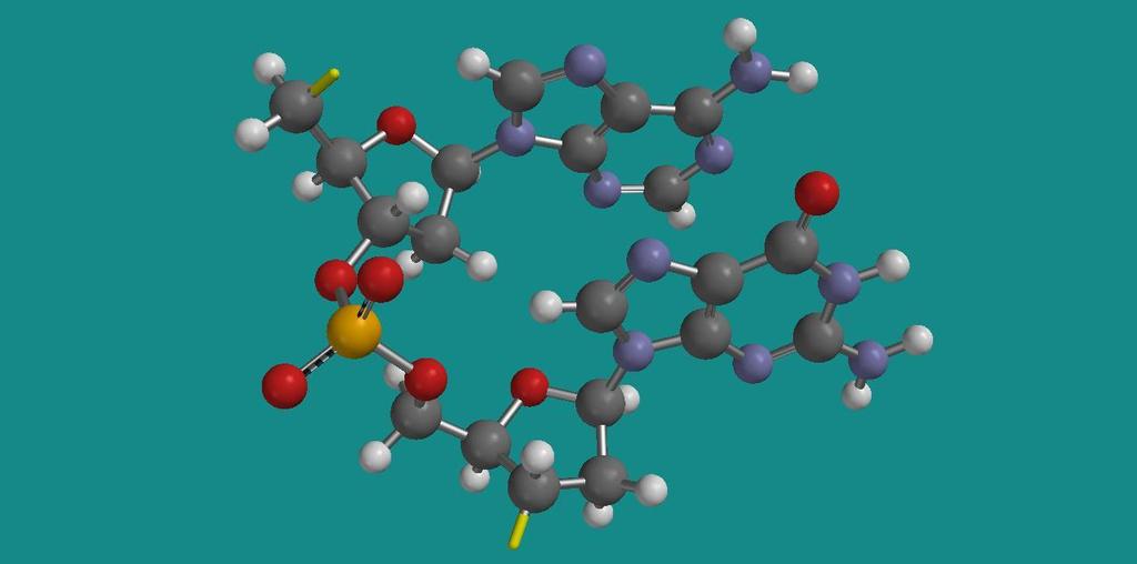 cytosin (C), C4H5N3O Cytosin eller thymin (T), C5H6N2O2 Thymin Aminobasen erstatter hydroksylgruppen (OH) på karbonatomet i posisjon 1 (C1) på karbohydratet (der vi nummererer C-atomene, fra 1 for