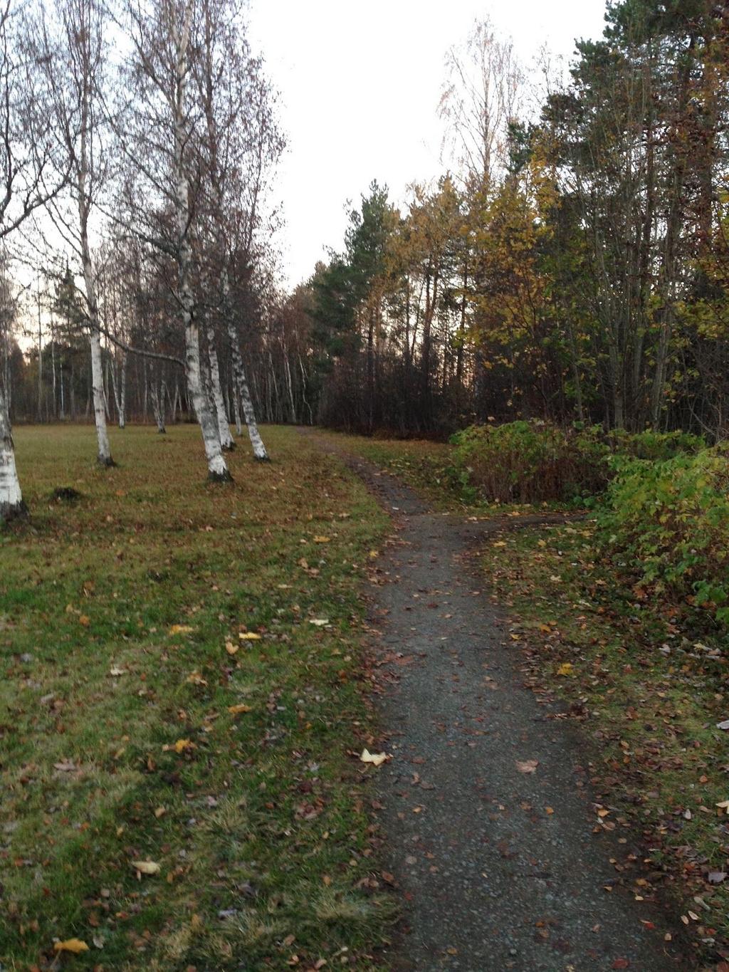 Wilhelsmyrvegen/Sørbruvegen, før- og etterbilder. Foto: Miljøpakken Dette er en populær snarveg til Stabbursmoen skole.