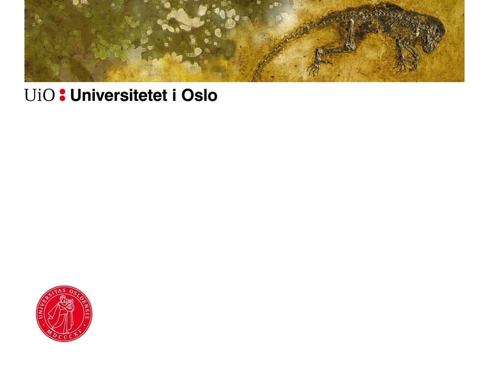 UiO digital eksamen