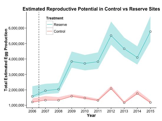 5.3 Endring i reproduktivt potensial i bevaringsområder I og med at det blir flere hummer, og at gjennomsnittsstørrelsen øker i bevaringsområder, er det grunn til å forvente at også egg- og