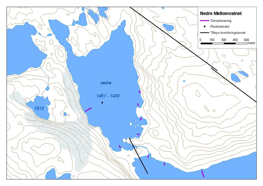 ..8 Nedre Mellomvatnet Nedre Mellomvatnet (innsjønummer 58) ligg i Aurlandsvassdraget i Aurland kommune (figur ). Vatnet er,5 km² stort, høgaste regulerte vasstand er 5,5 moh.