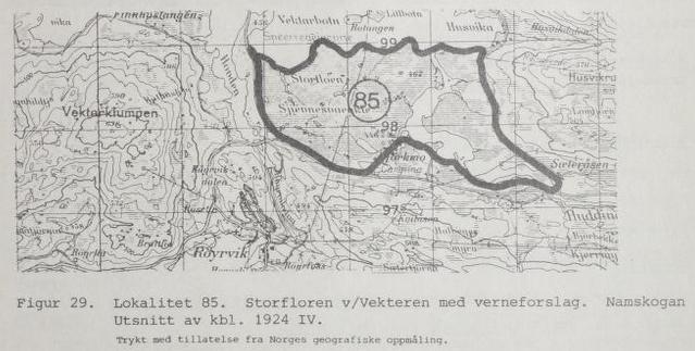 kommune av Lyngstad m.fl. (2006). Fastmattene dominerer, vekslende mellom fattige og rike partier.