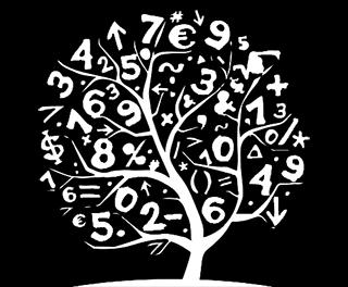 Med tall kan man kvantifisere mengder og størrelser. Området tall omfatter både hele tall, brøk, desimaltall og prosent.
